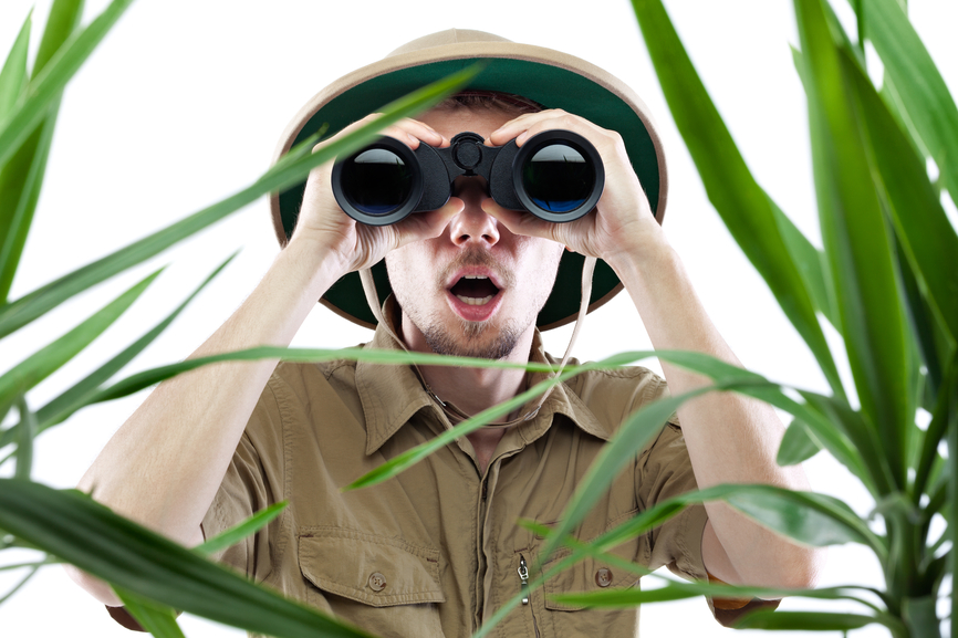 Website Content: Why It’s a Jungle Out There