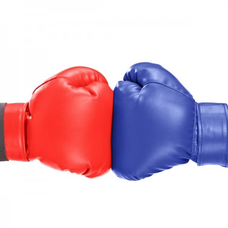 Google Plus to Overtake Facebook: Prediction or Fiction?