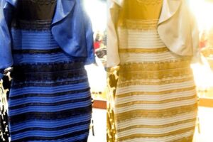 Is The Dress Blue and Black or White and Gold? How It Went Viral
