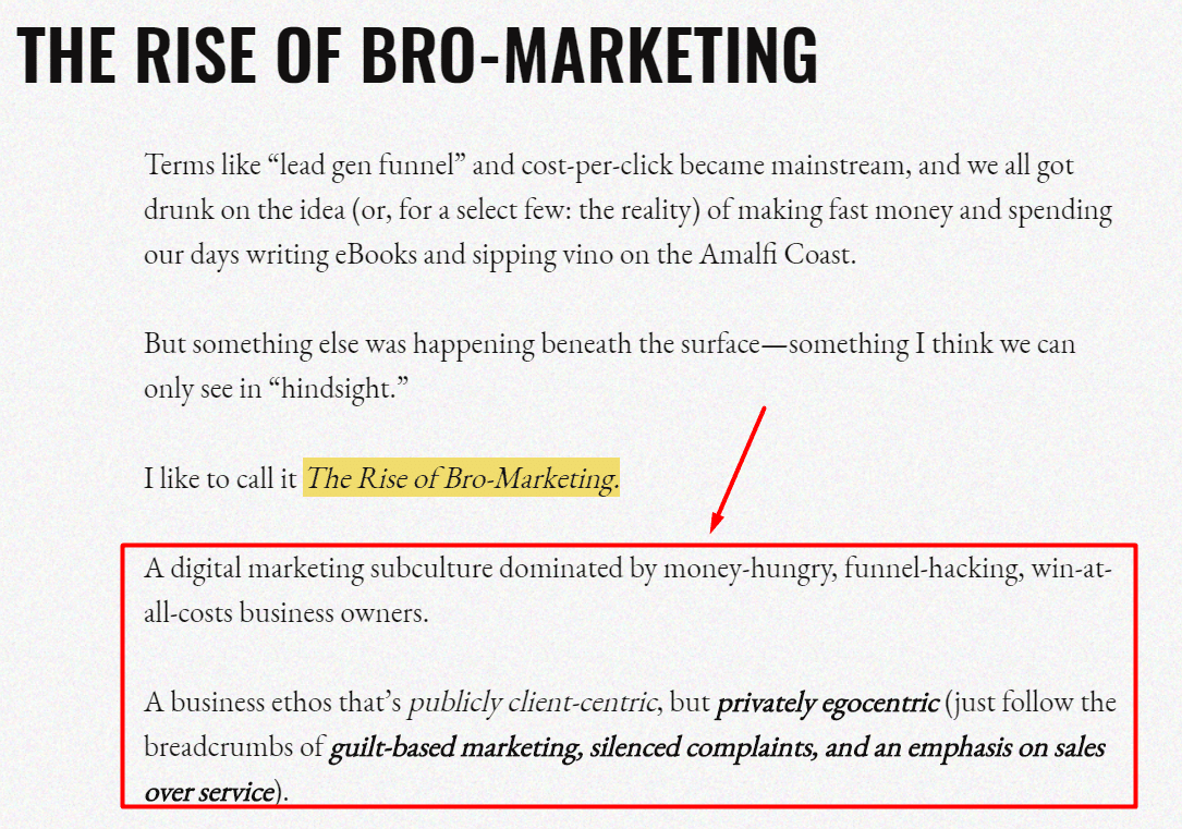 screenshot of section of blog "the rise of bro-marketing"