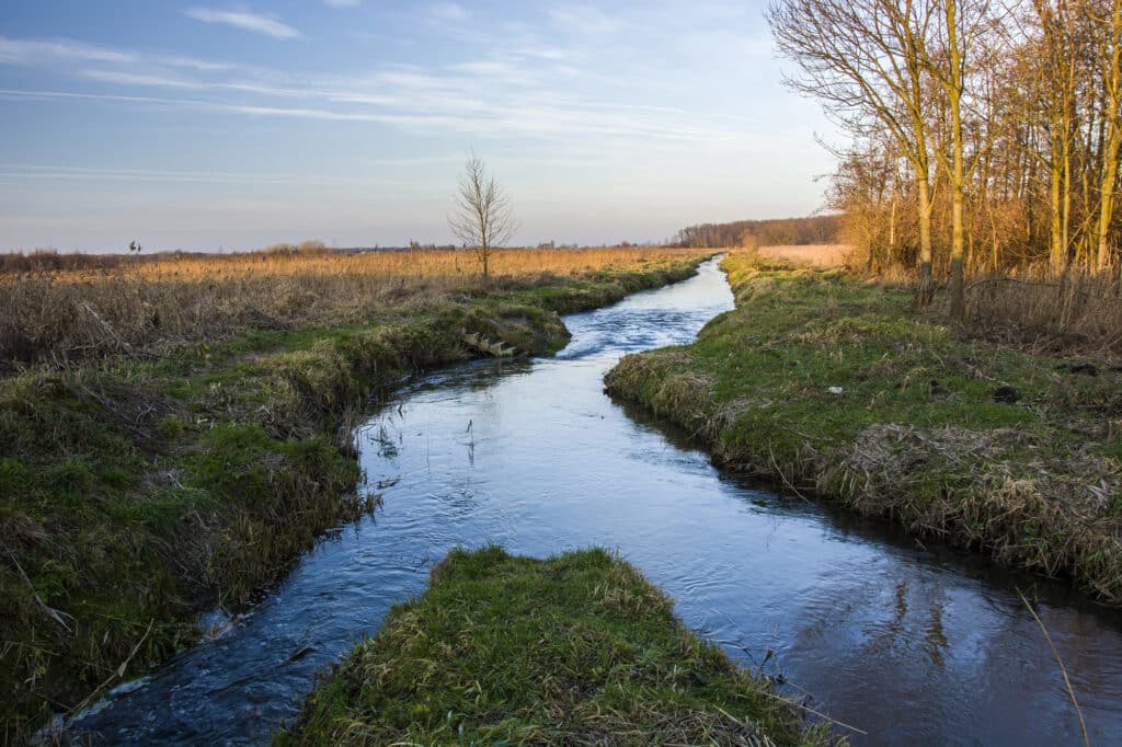 A river splitting into two channels through a green landscape.